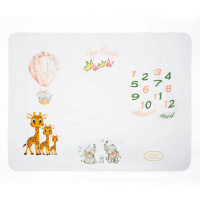 copertine-segnamese_mongolfiera