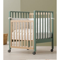 evolution_amb_1000x7003_55_463974294