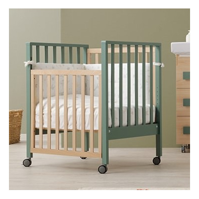 evolution_amb_1000x7003_55