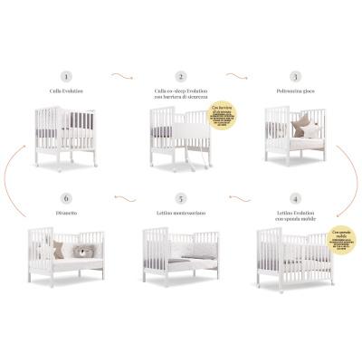 evolution_amb_1000x7006